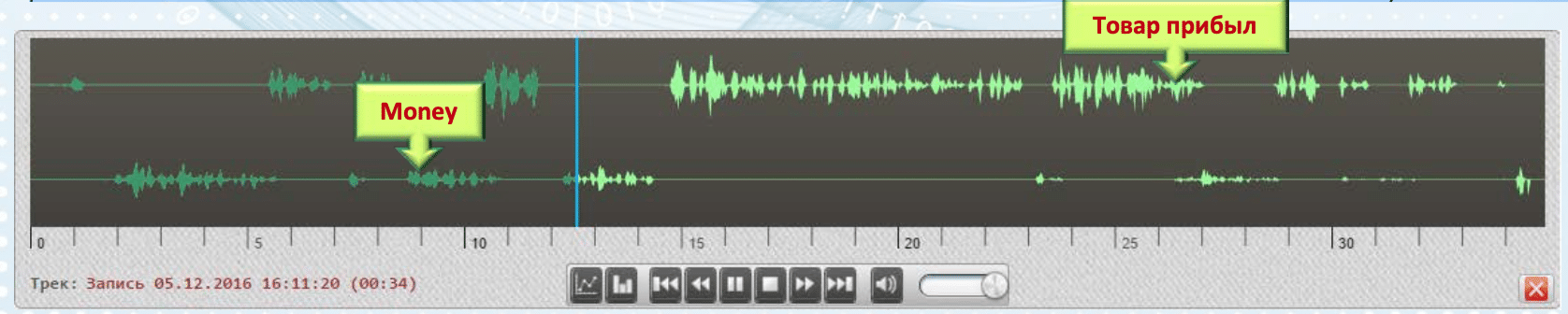 AMUR-Audio Searсh-2