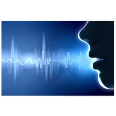 Программа AMUR-Audio Searсh