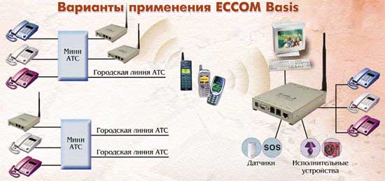 eccom_basis_variant